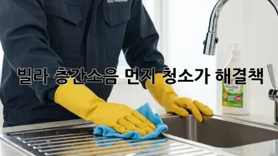 빌라 층간소음? 먼지 청소가 해결책?!
